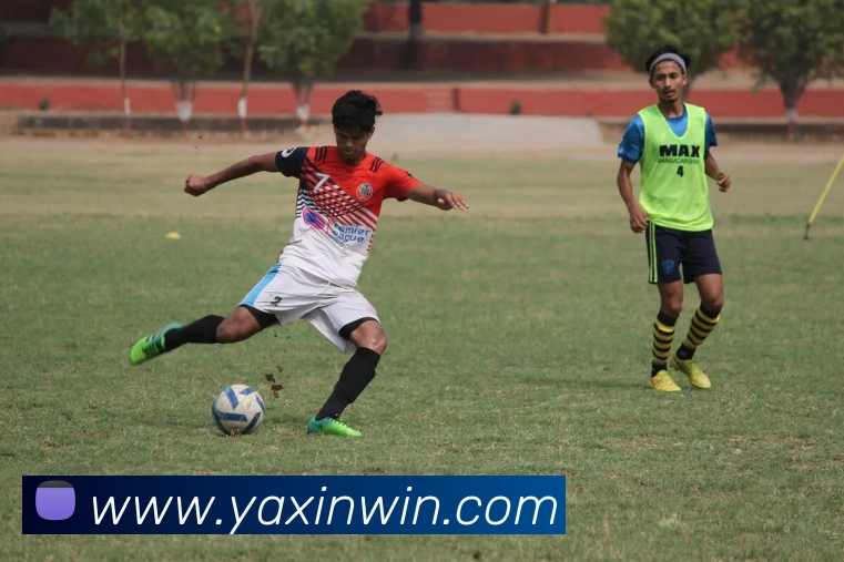 App Interface Preview