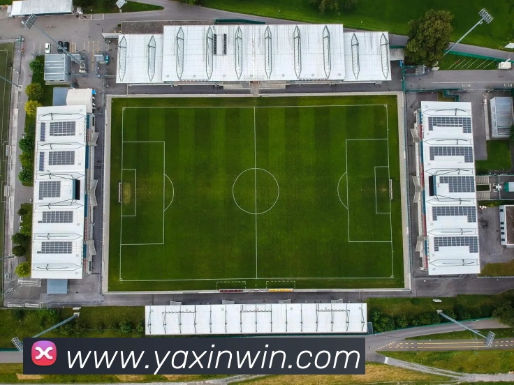 亚新体育APP 封面图